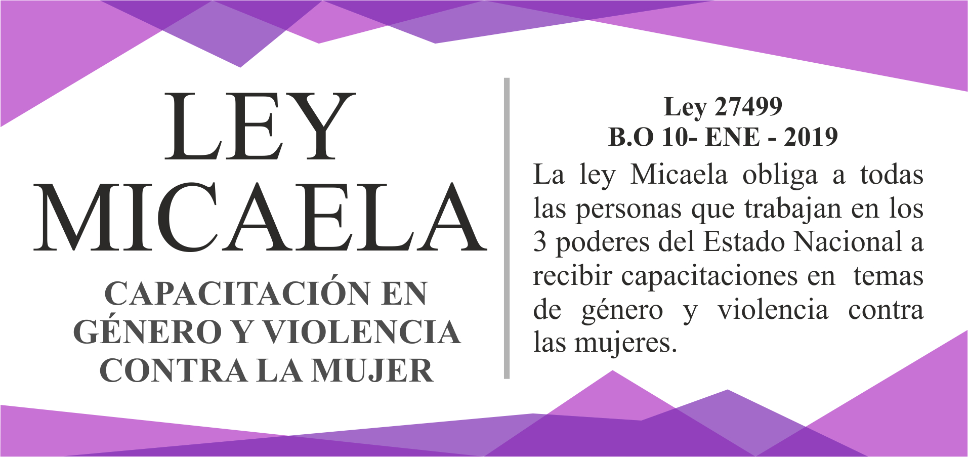 Ley Micaela, tríptico de la Fundación Micaela García 
