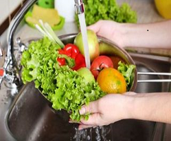 Verano 2023: Alimentación Segura